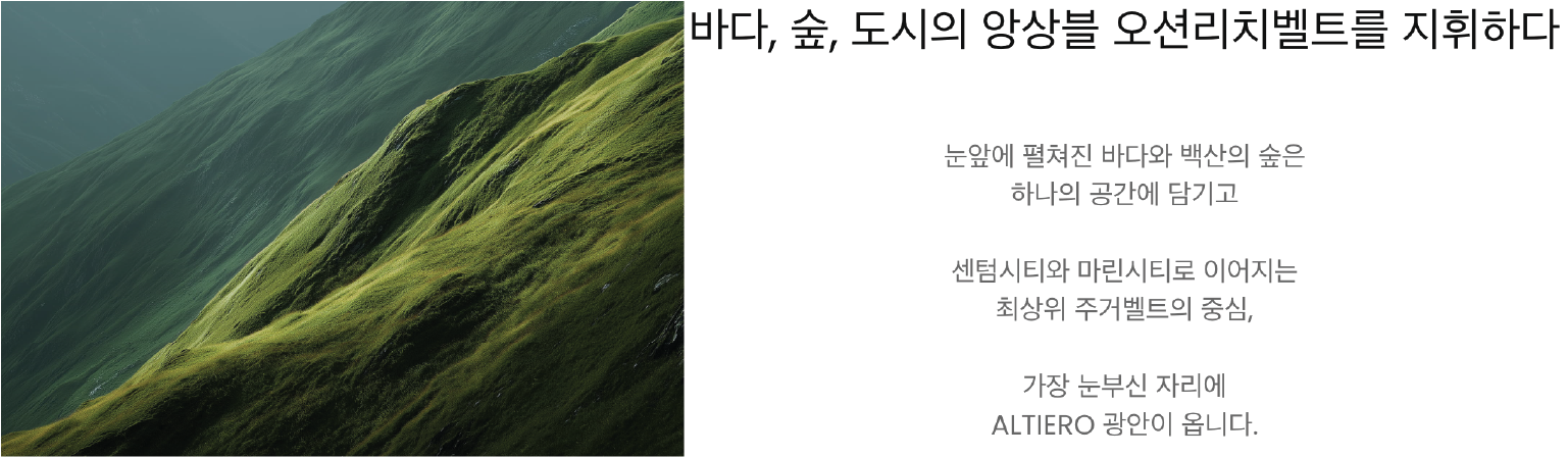 씨 포레스트 시티 이미지
